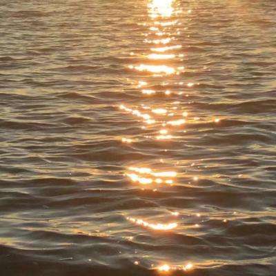 停车场专业停靠